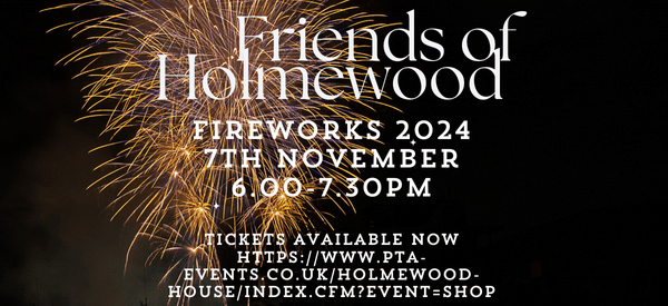 Friends of Holmewood Fireworks Night 2024