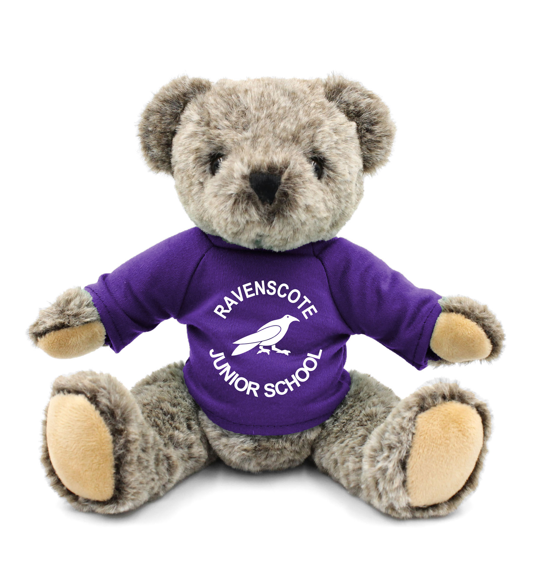 School Bear